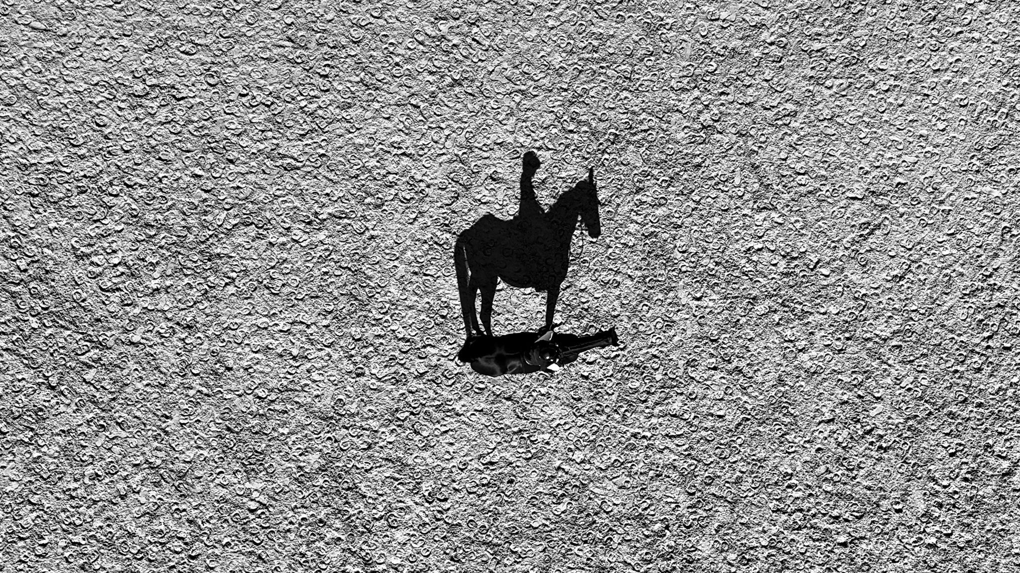 Soldes équitation Hazel : sélection à prix réduit de pantalons et accessoires, stocks limités.