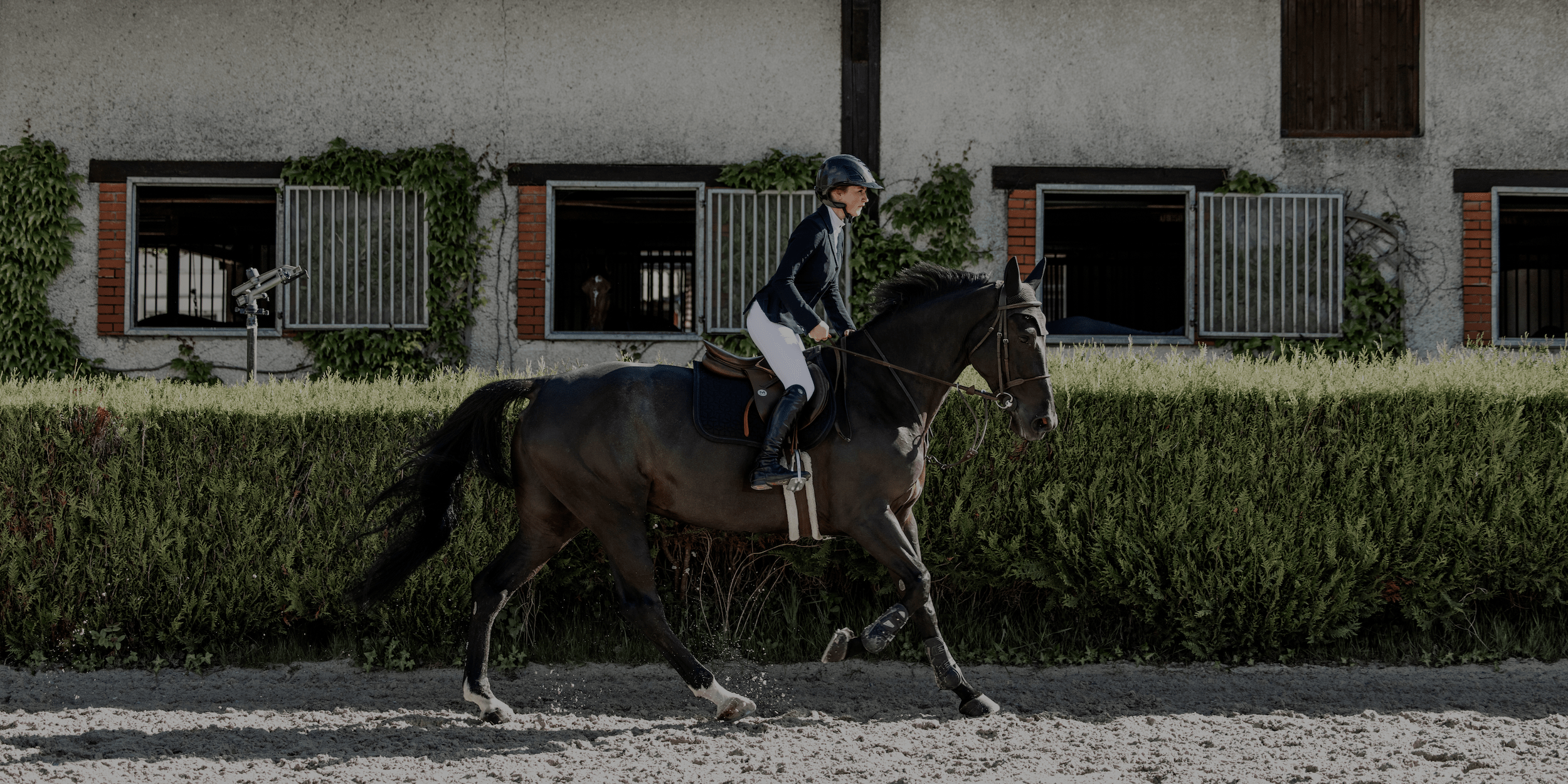 Page principale - Hazel Equestrian